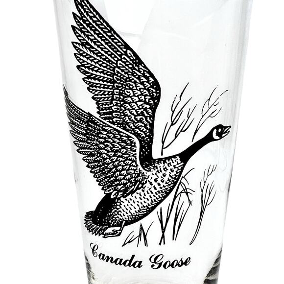 Collectible Pilsner Glass Canada Goose Silver Rim Beer Barware 6.75 Inch Tall - Picture 3 of 12